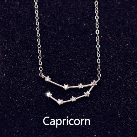 Sterling Silver Diamond Zodiac Necklace--Capricorn - Picture 1 of 3